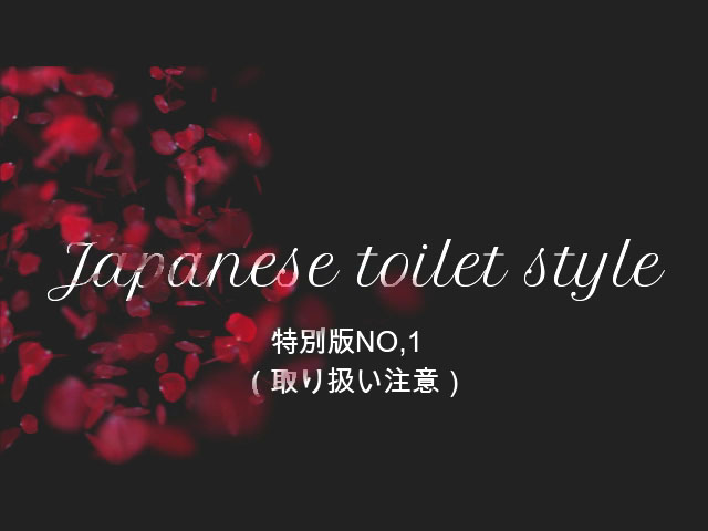 Japanese toilet style.特別版NO,1