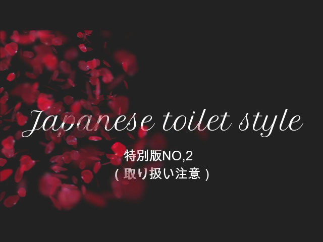 Japanese toilet style.特別版NO,2