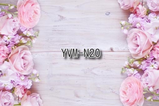 YVM-N20