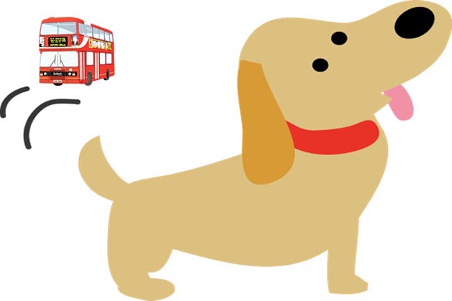犬遊びinニッポン