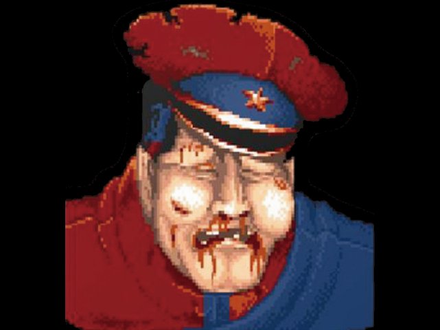 ［プレゼント用］Mr.BISON